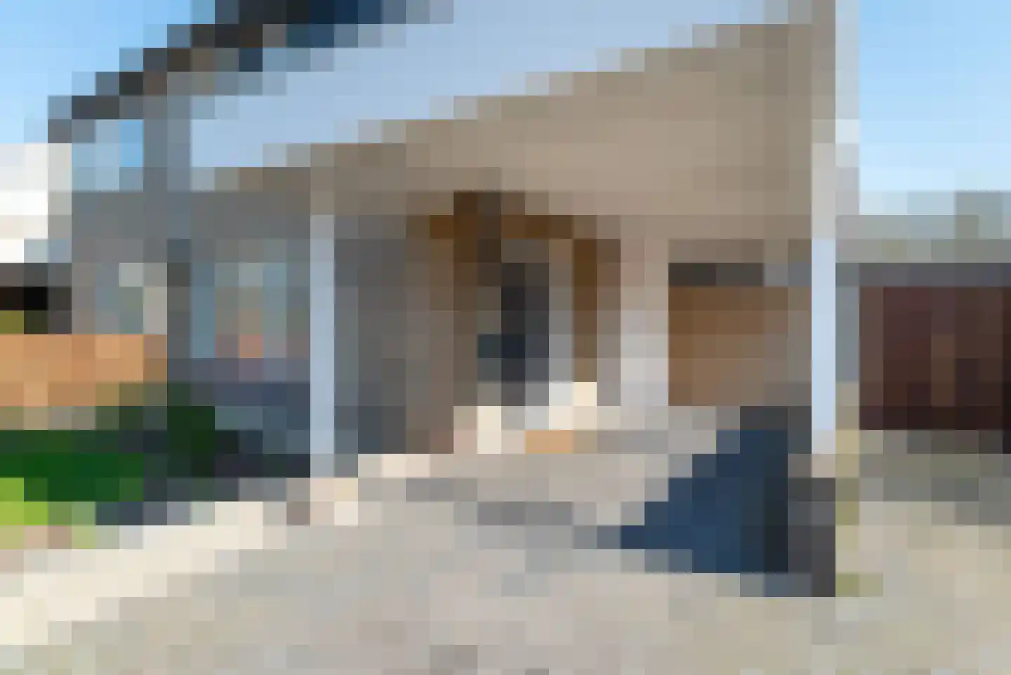 Borg Rusthoven 1 Almelo thumbnail 5