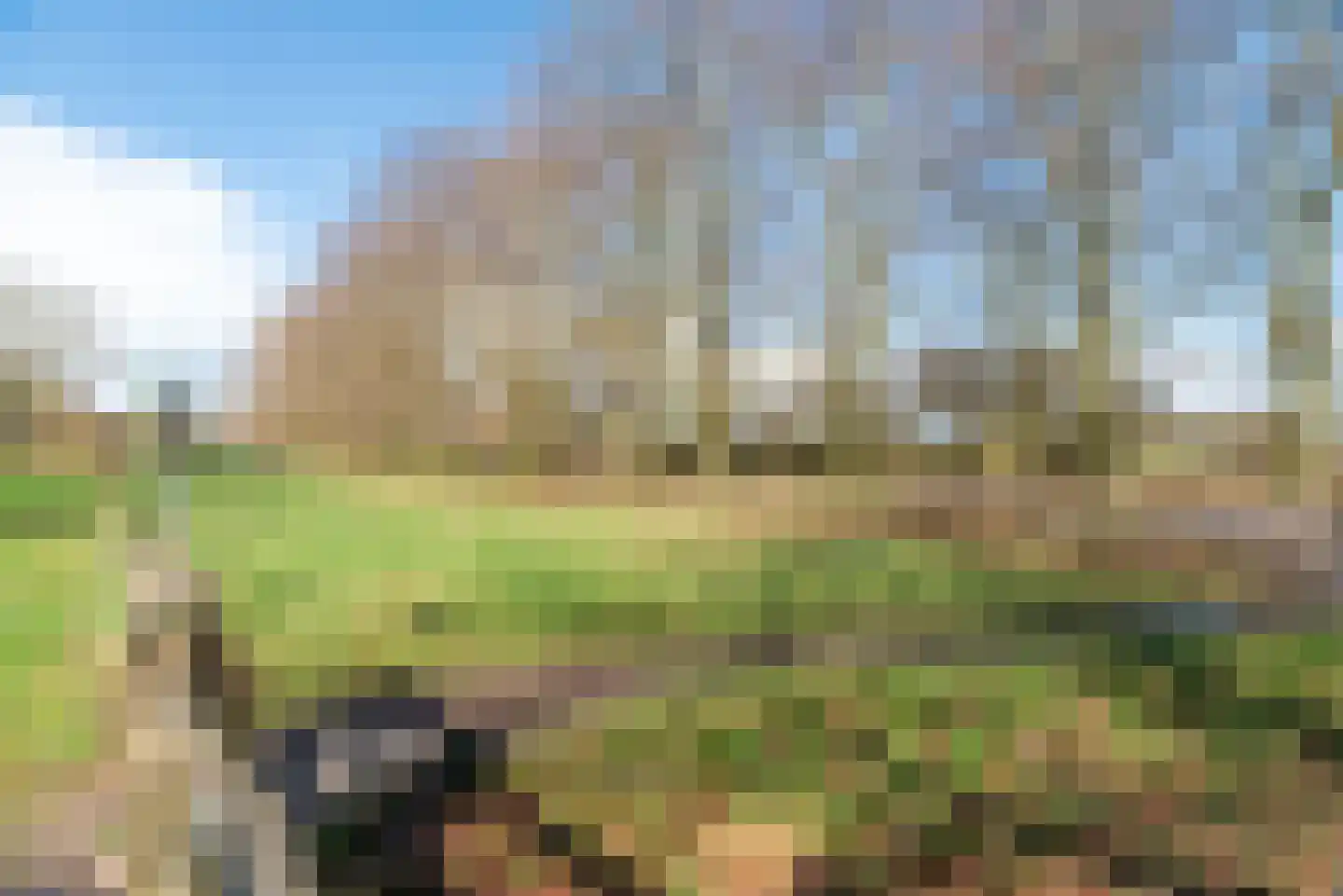 Borg Rusthoven 1 Almelo thumbnail 52