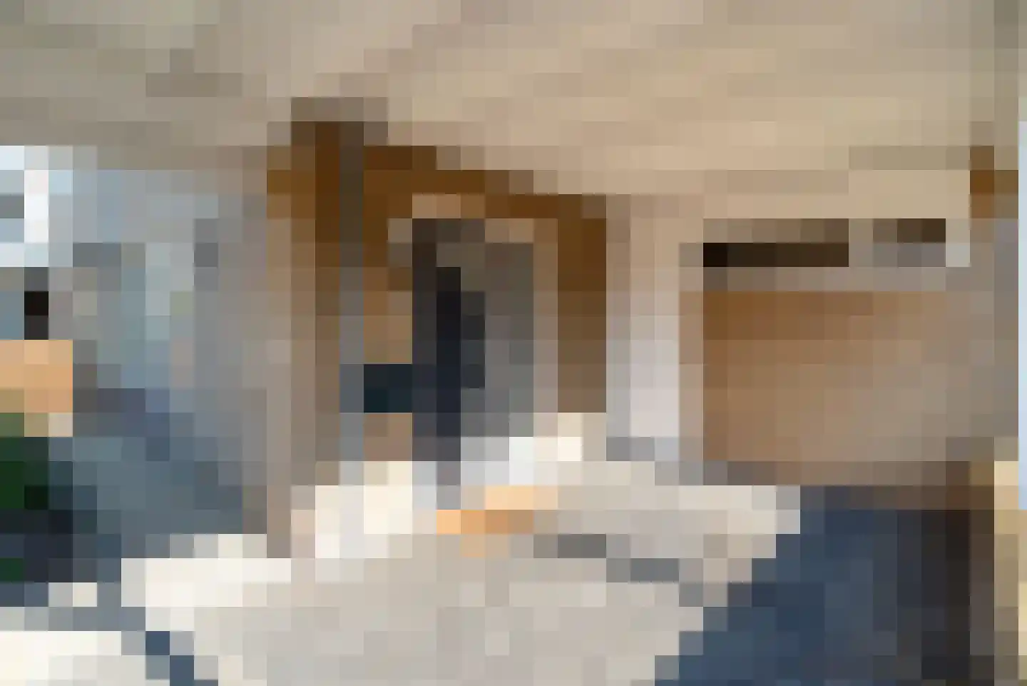 Borg Rusthoven 1 Almelo thumbnail 6