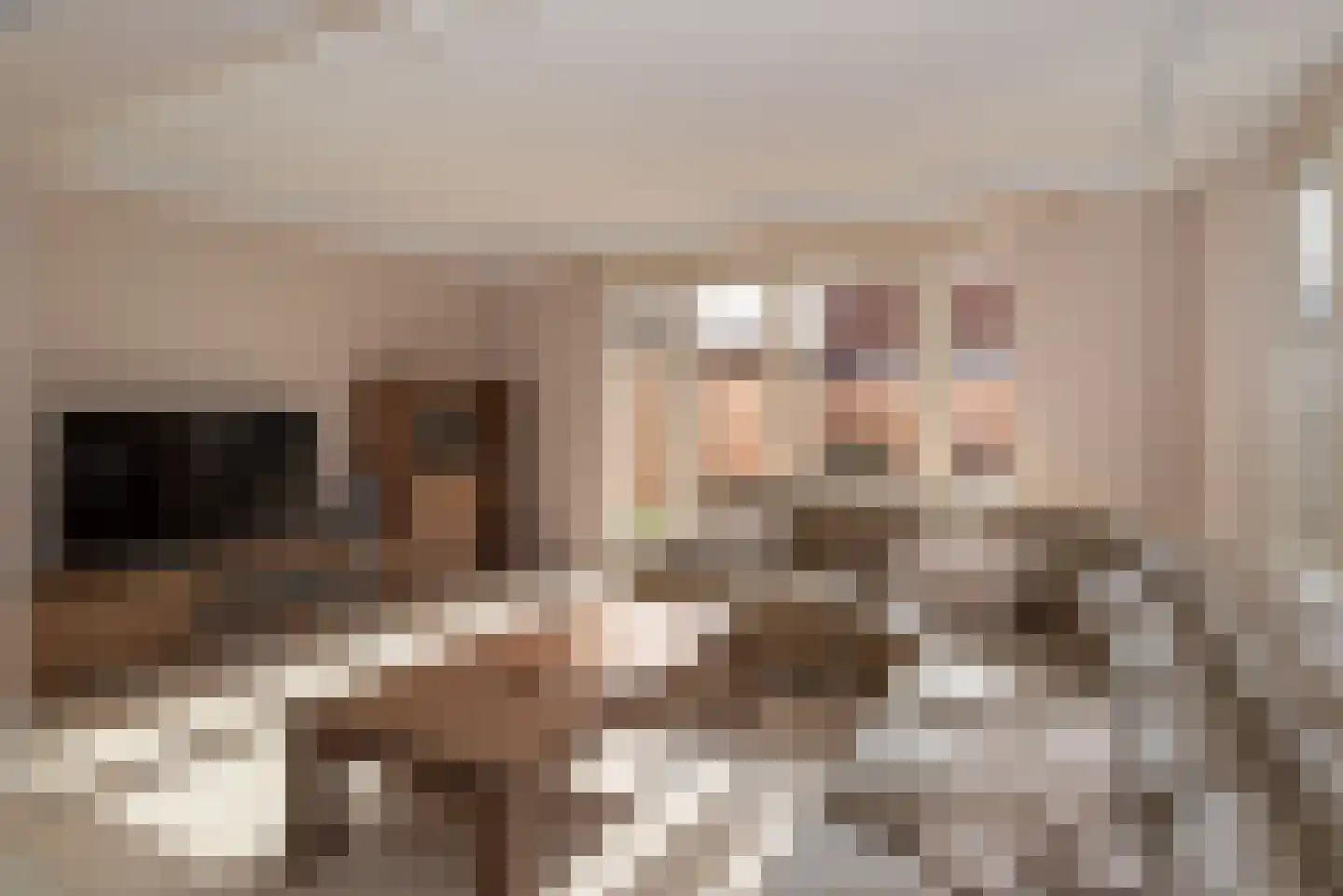 Borg Rusthoven 1 Almelo thumbnail 8