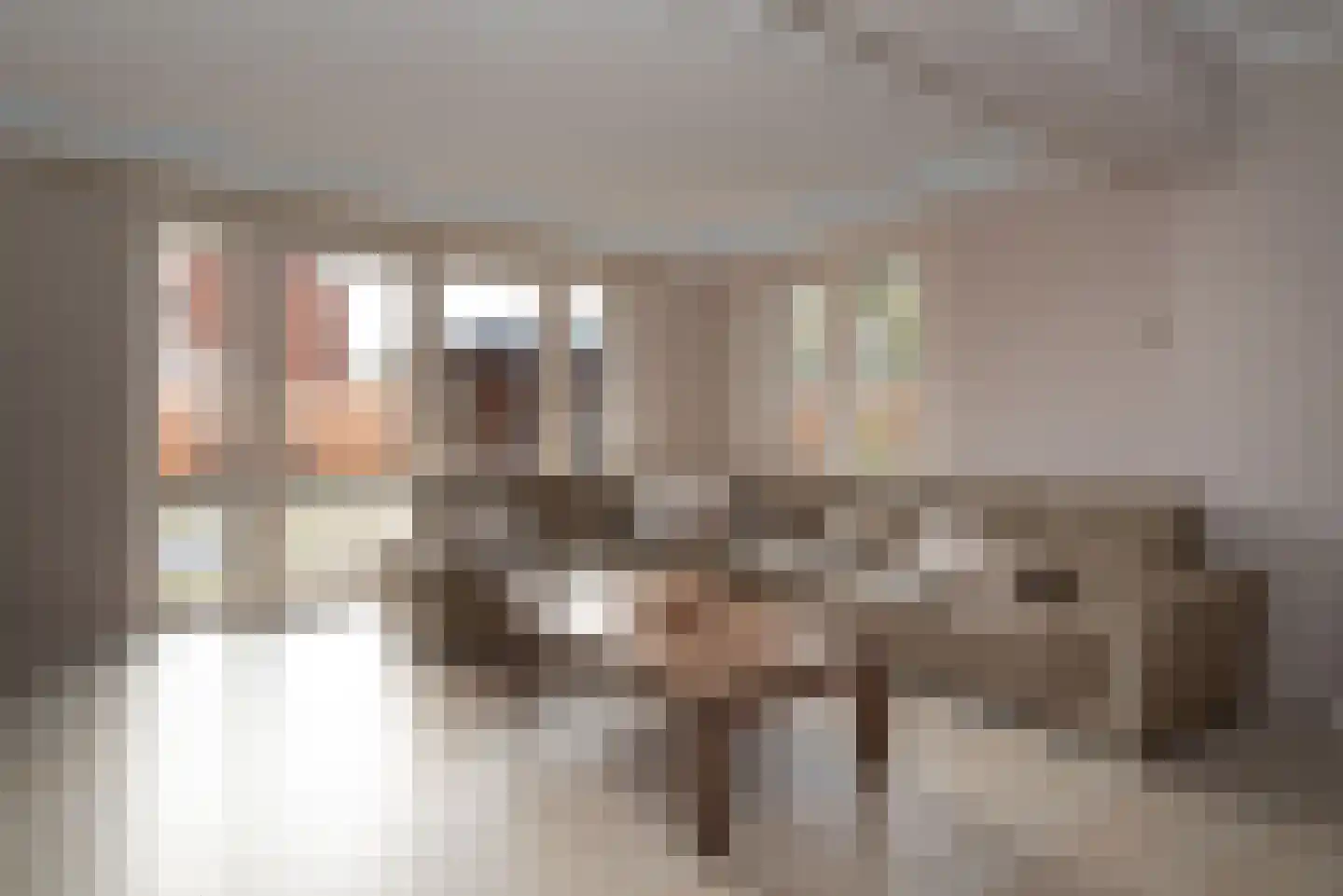 Borg Rusthoven 1 Almelo thumbnail 9