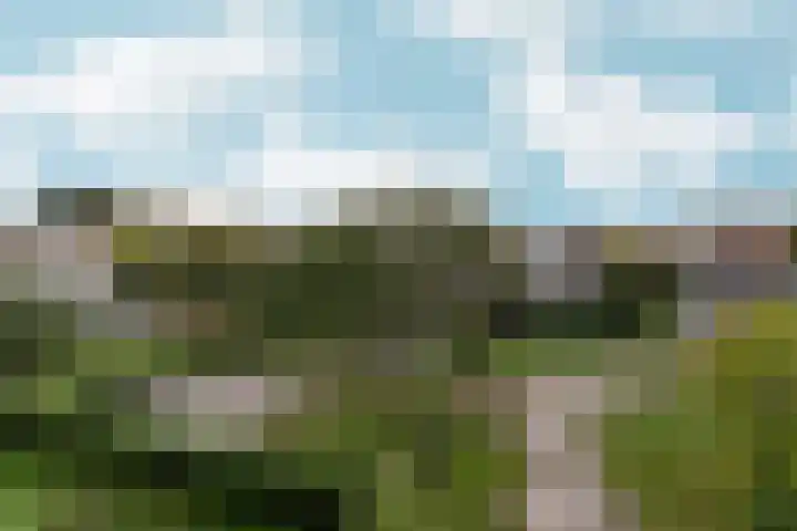 Kantoor foto van Borgdorff Makelaars Vlaardingen