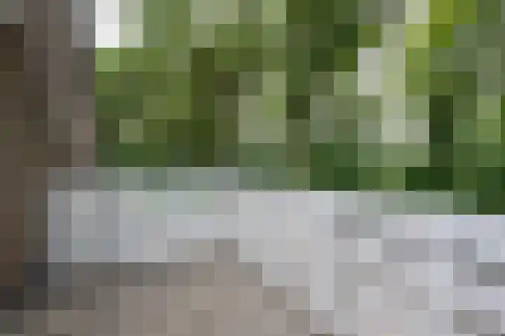 Borgerbrink 50 Emmen thumbnail 32