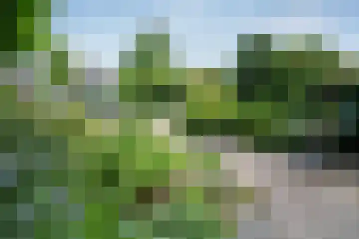 Borgerbrink 50 Emmen thumbnail 33