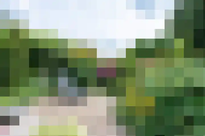 Borgerbrink 50 Emmen thumbnail 36