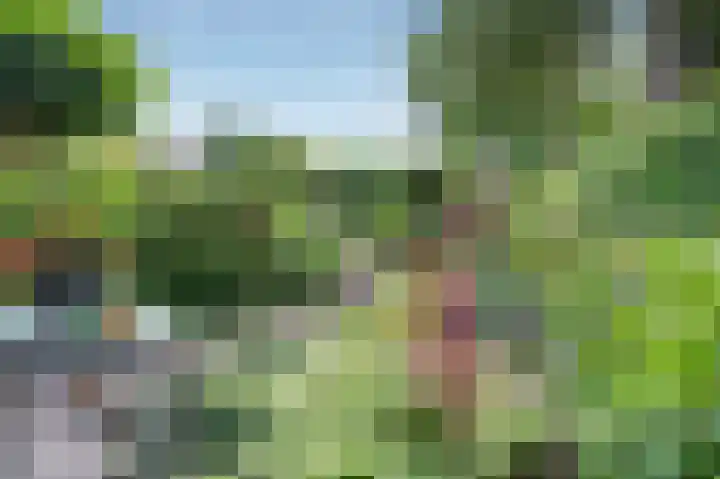Borgerbrink 50 Emmen thumbnail 40