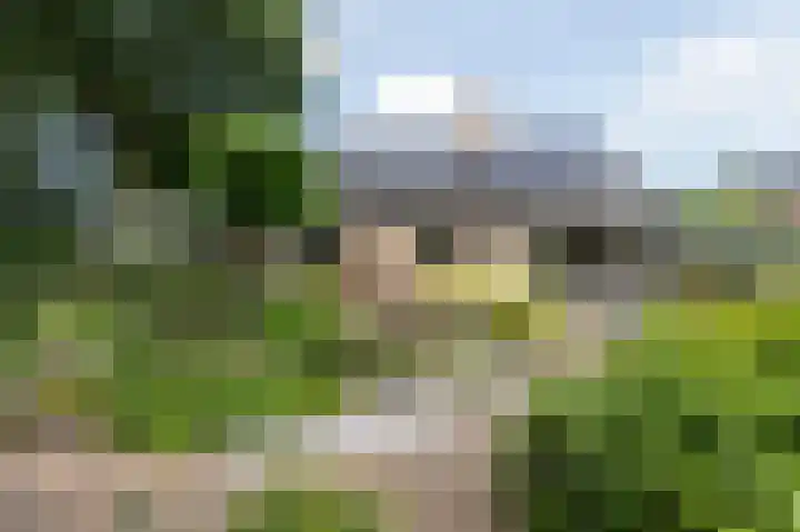 Borgerbrink 50 Emmen thumbnail 41