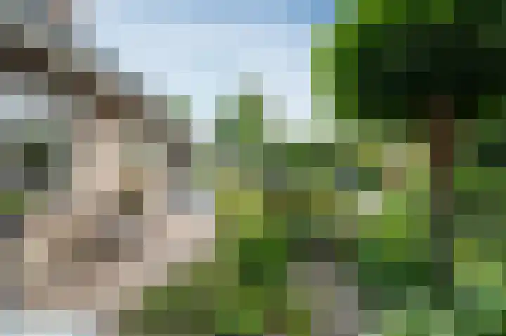 Borgerbrink 50 Emmen thumbnail 42