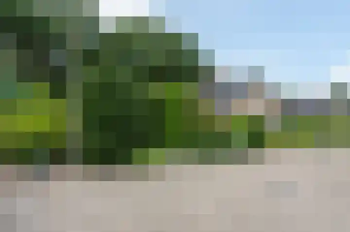 Borgerbrink 50 Emmen thumbnail 46