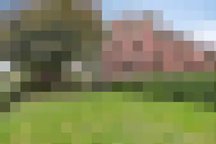 Borgercompagnie 59 Borgercompagnie