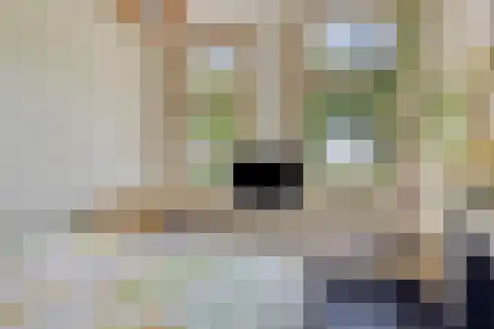 Borgercompagnie 59 Borgercompagnie thumbnail 36