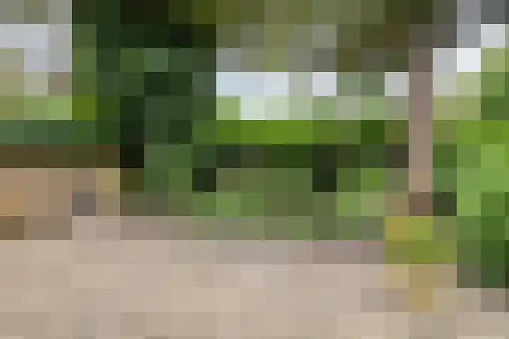Borgercompagnie 59 Borgercompagnie thumbnail 56