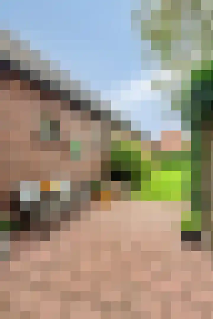 Borgercompagnie 59 Borgercompagnie thumbnail 62