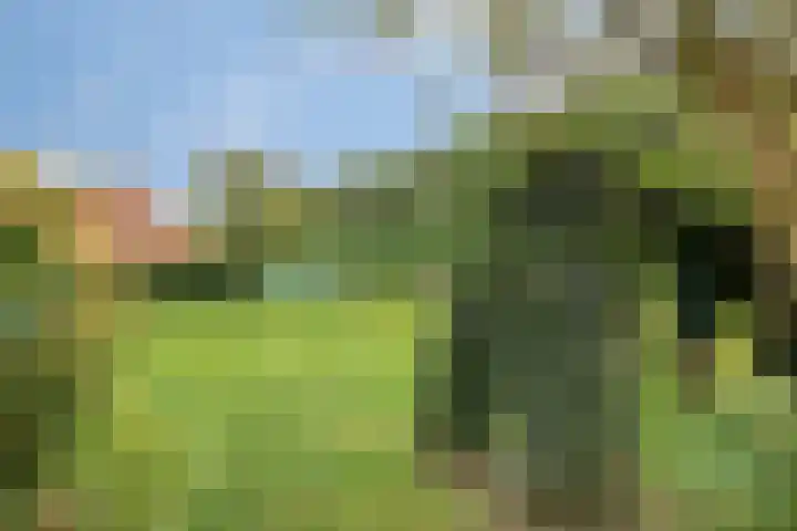Borgercompagnie 59 Borgercompagnie thumbnail 64