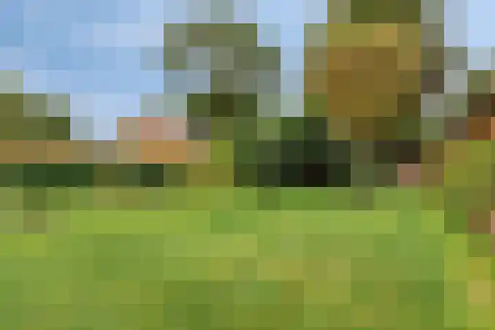 Borgercompagnie 59 Borgercompagnie thumbnail 65