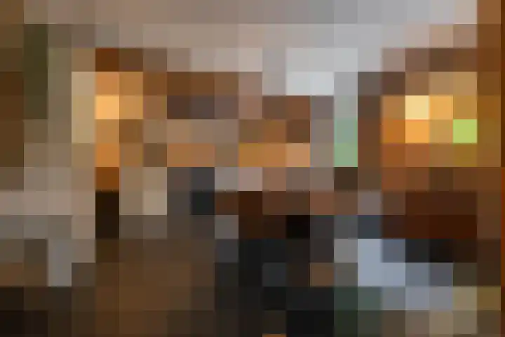 Borgercompagnie 86 Borgercompagnie thumbnail 12