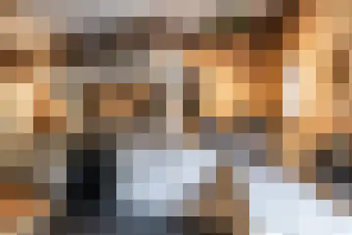 Borgercompagnie 86 Borgercompagnie thumbnail 14