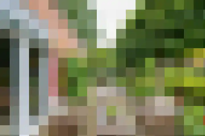 Borgercompagnie 86 Borgercompagnie thumbnail 17