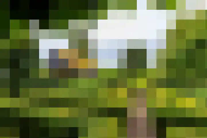 Borgercompagnie 86 Borgercompagnie thumbnail 18