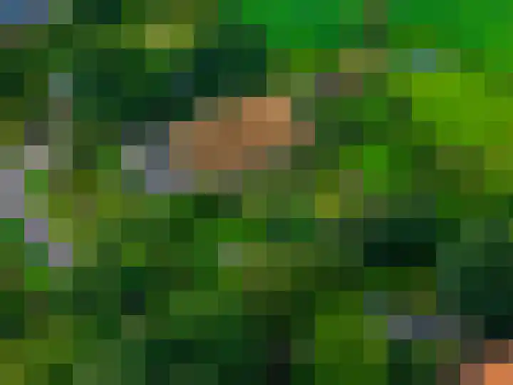 Borgercompagnie 86 Borgercompagnie foto 2