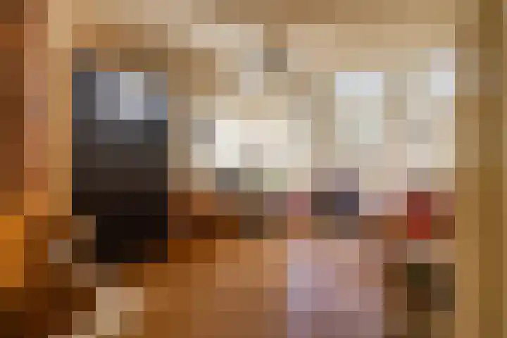 Borgercompagnie 86 Borgercompagnie thumbnail 26