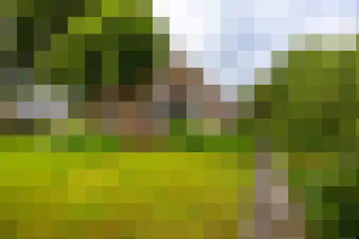Borgercompagnie 86 Borgercompagnie thumbnail 4