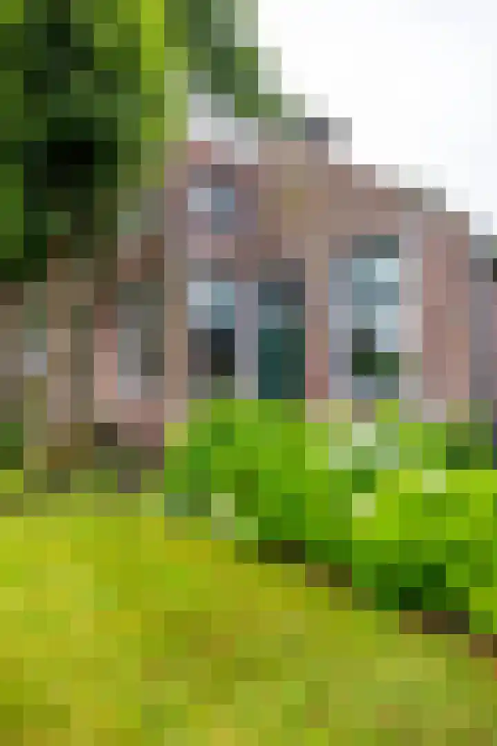 Borgercompagnie 86 Borgercompagnie thumbnail 5