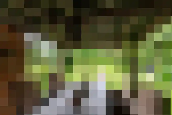 Borgercompagnie 86 Borgercompagnie thumbnail 72