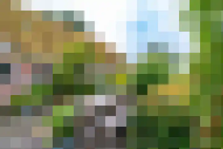Borgercompagnie 86 Borgercompagnie thumbnail 74