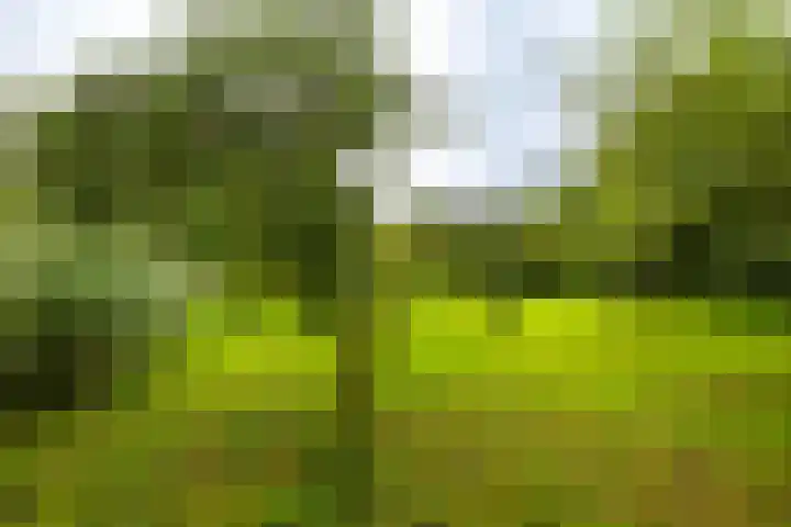 Borgercompagnie 86 Borgercompagnie thumbnail 75
