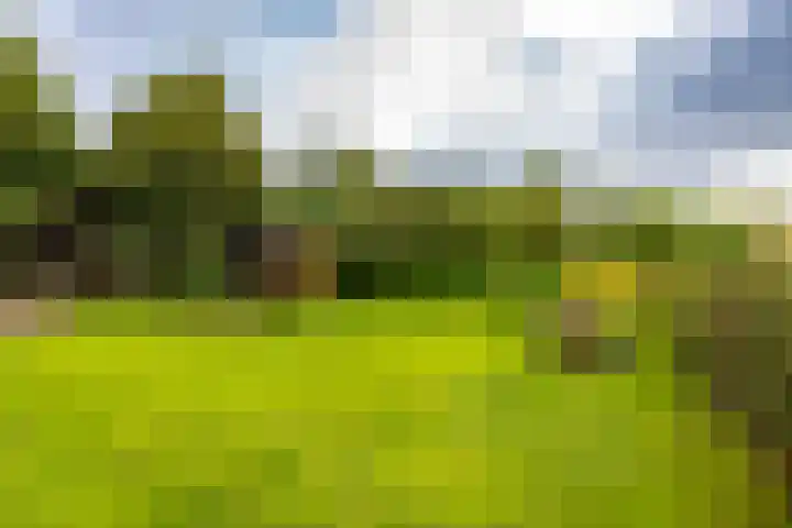 Borgercompagnie 86 Borgercompagnie thumbnail 77