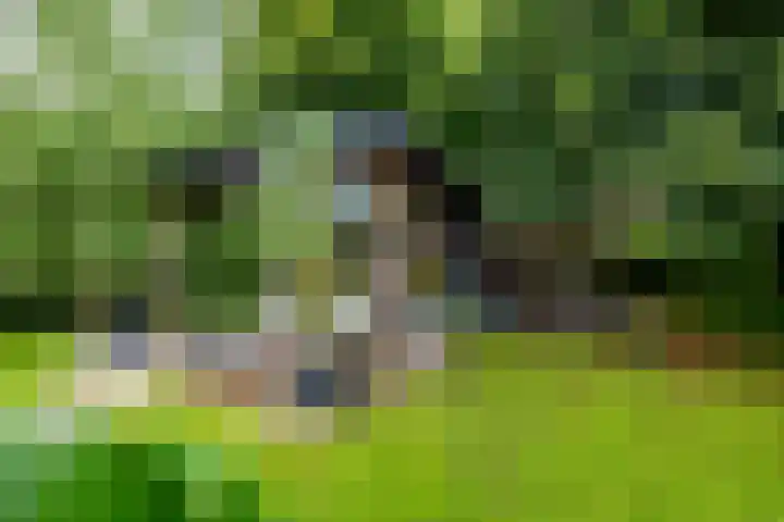 Borgercompagnie 86 Borgercompagnie thumbnail 78