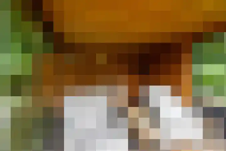 Borgercompagnie 86 Borgercompagnie thumbnail 79