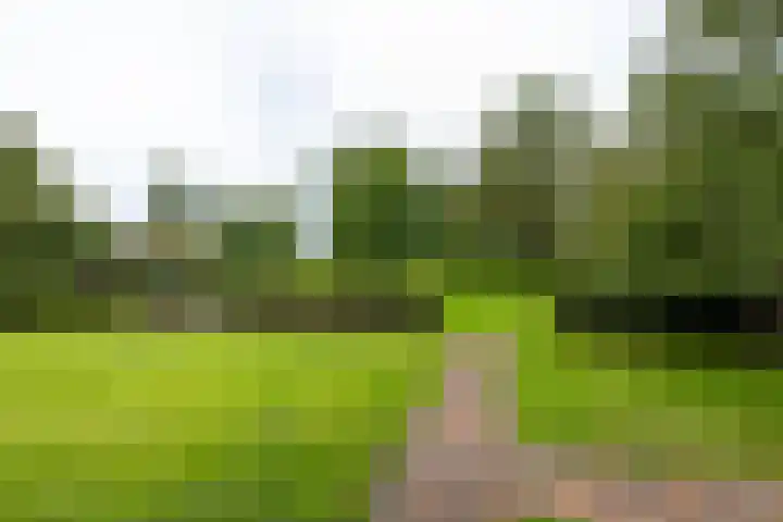 Borgercompagnie 86 Borgercompagnie thumbnail 81