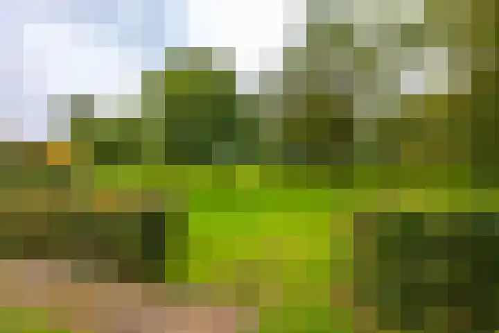 Borgercompagnie 86 Borgercompagnie thumbnail 82