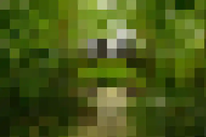 Borgercompagnie 86 Borgercompagnie thumbnail 83