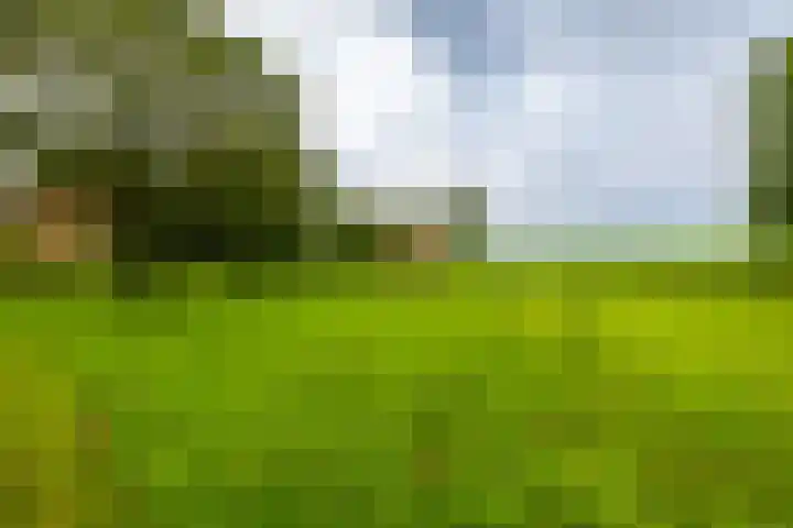 Borgercompagnie 86 Borgercompagnie thumbnail 86