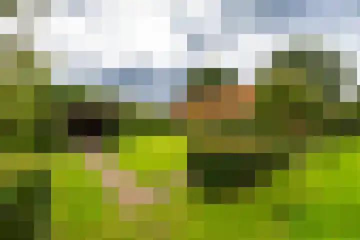 Borgercompagnie 86 Borgercompagnie thumbnail 87