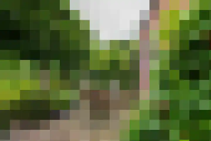 Borgercompagnie 86 Borgercompagnie thumbnail 90