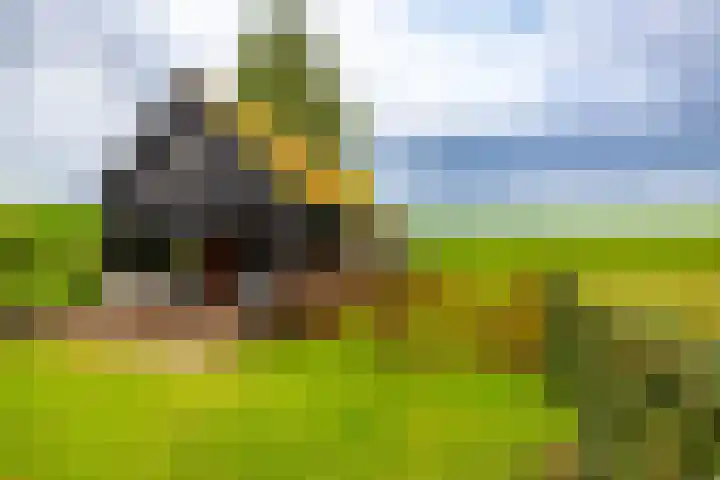 Borgercompagnie 86 Borgercompagnie thumbnail 91