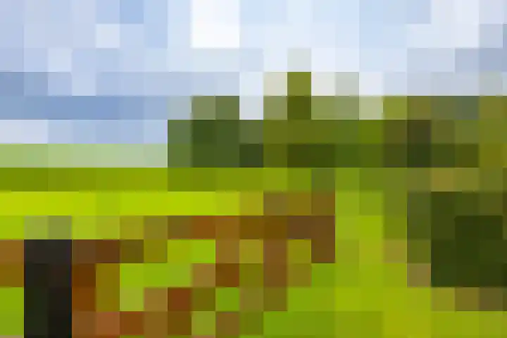 Borgercompagnie 86 Borgercompagnie thumbnail 92
