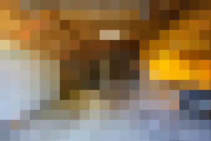 Borgercompagniesterweg 39 Borgercompagnie thumbnail 44