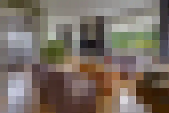 Borgerderstraat 4 Ees thumbnail 10