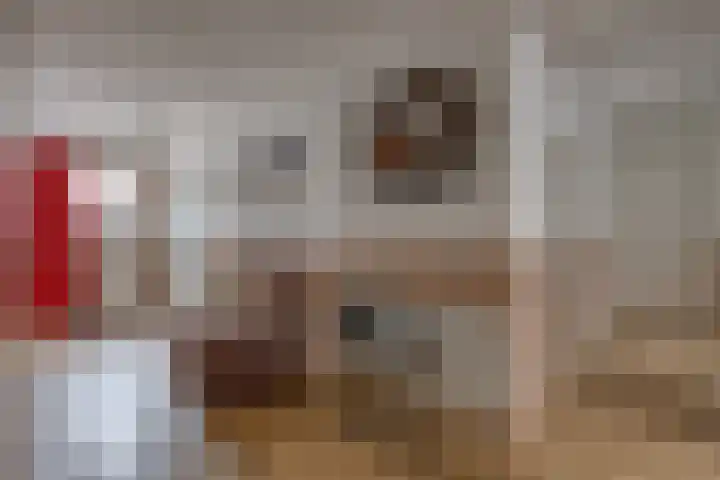 Borgerderstraat 4 Ees thumbnail 18