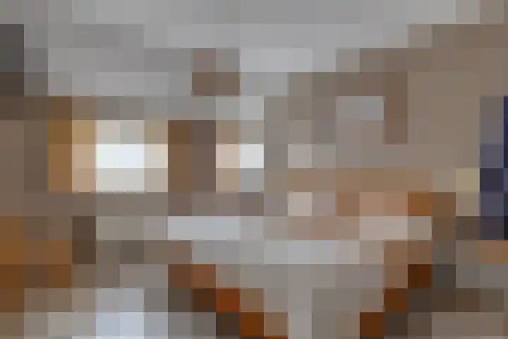 Borgerderstraat 4 Ees thumbnail 20