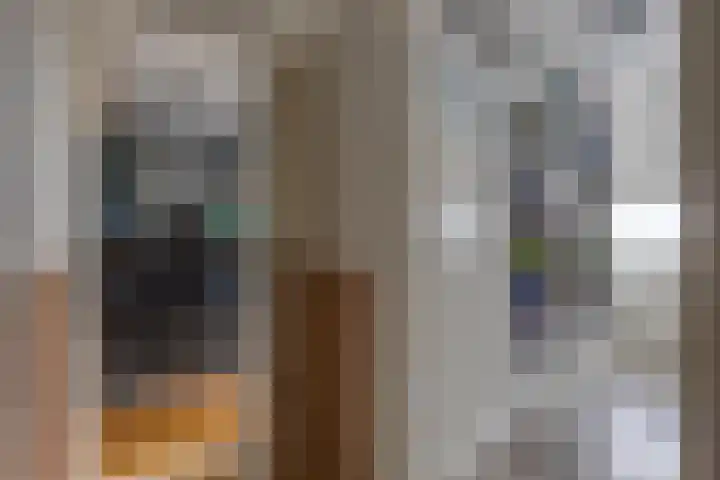 Borgerderstraat 4 Ees thumbnail 21
