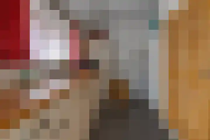 Borgerderstraat 4 Ees thumbnail 27