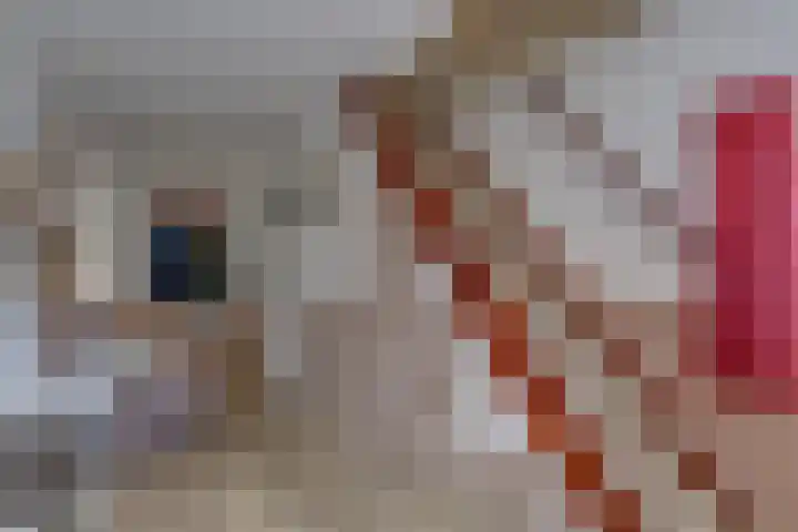 Borgerderstraat 4 Ees thumbnail 28