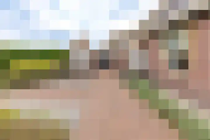 Borgerderstraat 4 Ees thumbnail 36