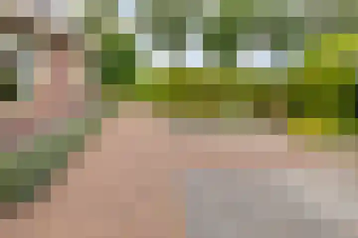 Borgerderstraat 4 Ees thumbnail 37